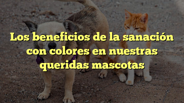 Los beneficios de la sanación con colores en nuestras queridas mascotas