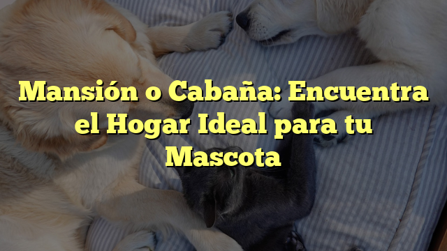 Mansión o Cabaña: Encuentra el Hogar Ideal para tu Mascota