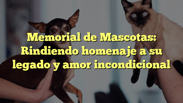 Memorial de Mascotas: Rindiendo homenaje a su legado y amor incondicional