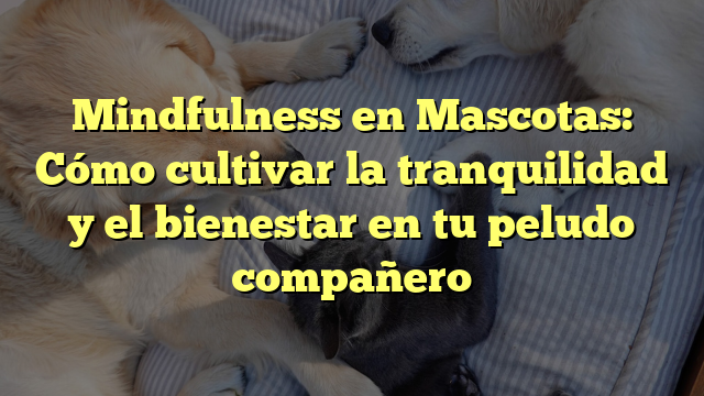 Mindfulness en Mascotas: Cómo cultivar la tranquilidad y el bienestar en tu peludo compañero