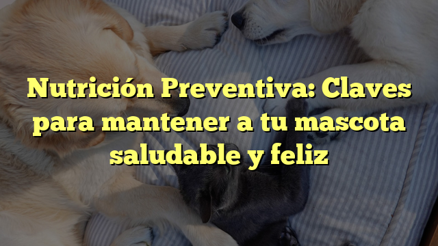 Nutrición Preventiva: Claves para mantener a tu mascota saludable y feliz