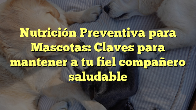 Nutrición Preventiva para Mascotas: Claves para mantener a tu fiel compañero saludable