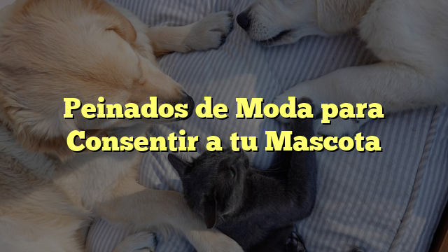 Peinados de Moda para Consentir a tu Mascota
