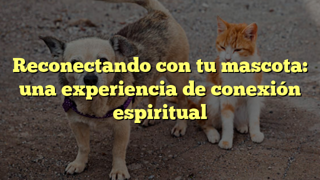 Reconectando con tu mascota: una experiencia de conexión espiritual