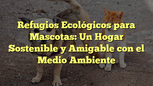 Refugios Ecológicos para Mascotas: Un Hogar Sostenible y Amigable con el Medio Ambiente