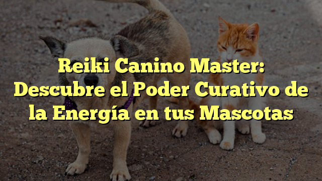 Reiki Canino Master: Descubre el Poder Curativo de la Energía en tus Mascotas