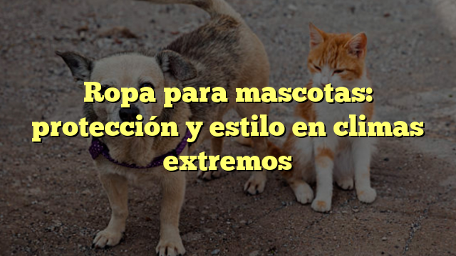 Ropa para mascotas: protección y estilo en climas extremos
