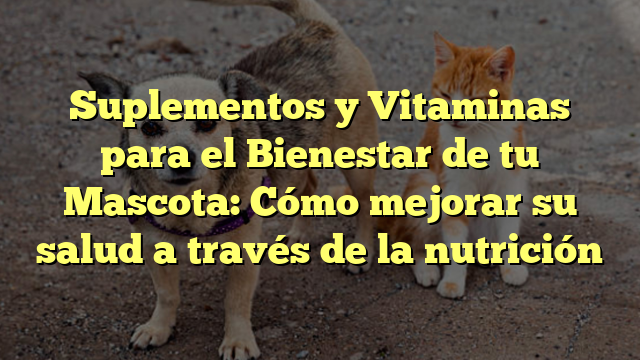 Suplementos y Vitaminas para el Bienestar de tu Mascota: Cómo mejorar su salud a través de la nutrición