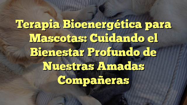 Terapia Bioenergética para Mascotas: Cuidando el Bienestar Profundo de Nuestras Amadas Compañeras