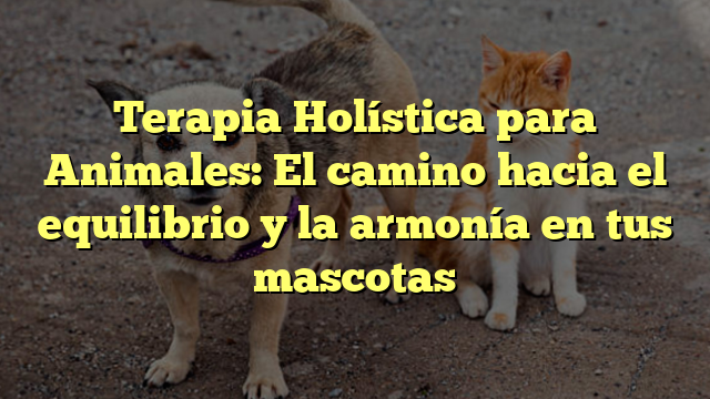 Terapia Holística para Animales: El camino hacia el equilibrio y la armonía en tus mascotas