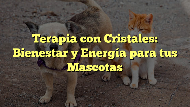 Terapia con Cristales: Bienestar y Energía para tus Mascotas