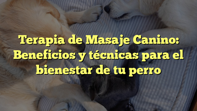 Terapia de Masaje Canino: Beneficios y técnicas para el bienestar de tu perro