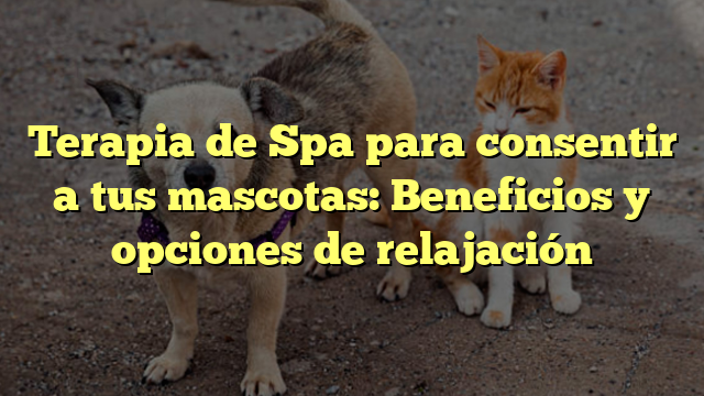 Terapia de Spa para consentir a tus mascotas: Beneficios y opciones de relajación