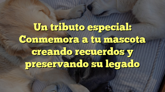 Un tributo especial: Conmemora a tu mascota creando recuerdos y preservando su legado