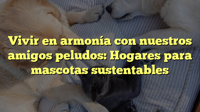 Vivir en armonía con nuestros amigos peludos: Hogares para mascotas sustentables