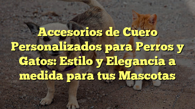 Accesorios de Cuero Personalizados para Perros y Gatos: Estilo y Elegancia a medida para tus Mascotas