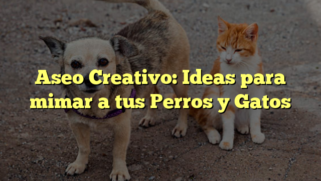 Aseo Creativo: Ideas para mimar a tus Perros y Gatos