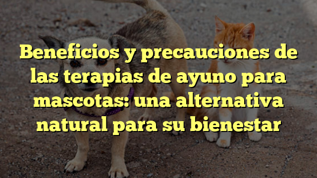 Beneficios y precauciones de las terapias de ayuno para mascotas: una alternativa natural para su bienestar