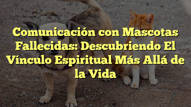 Comunicación con Mascotas Fallecidas: Descubriendo El Vínculo Espiritual Más Allá de la Vida
