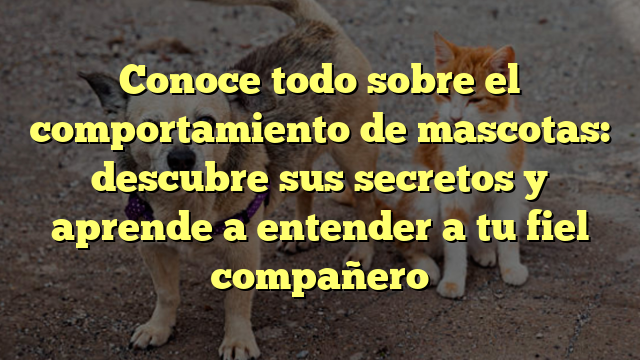 Conoce todo sobre el comportamiento de mascotas: descubre sus secretos y aprende a entender a tu fiel compañero