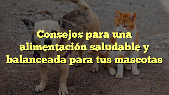 Consejos para una alimentación saludable y balanceada para tus mascotas