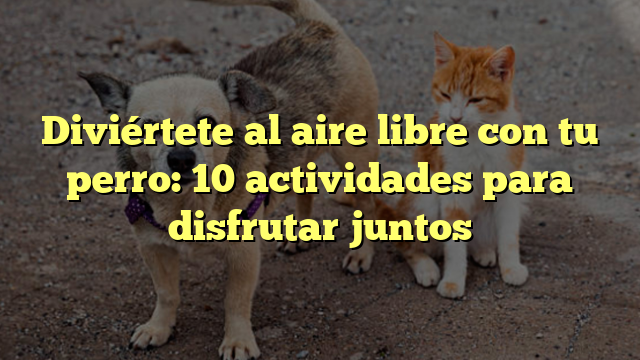 Diviértete al aire libre con tu perro: 10 actividades para disfrutar juntos