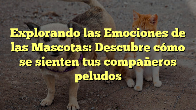 Explorando las Emociones de las Mascotas: Descubre cómo se sienten tus compañeros peludos