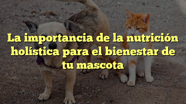 La importancia de la nutrición holística para el bienestar de tu mascota