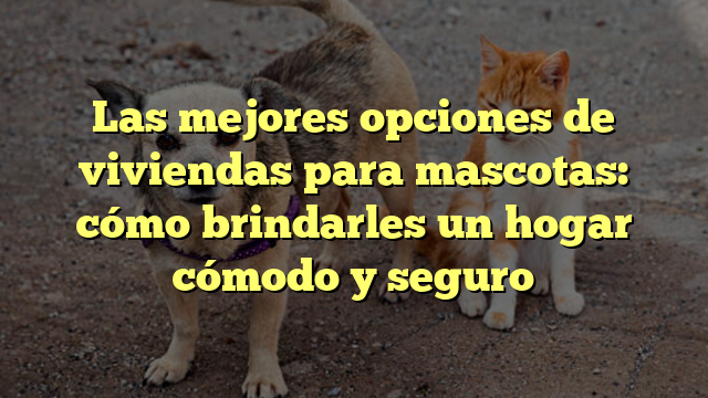Las mejores opciones de viviendas para mascotas: cómo brindarles un hogar cómodo y seguro