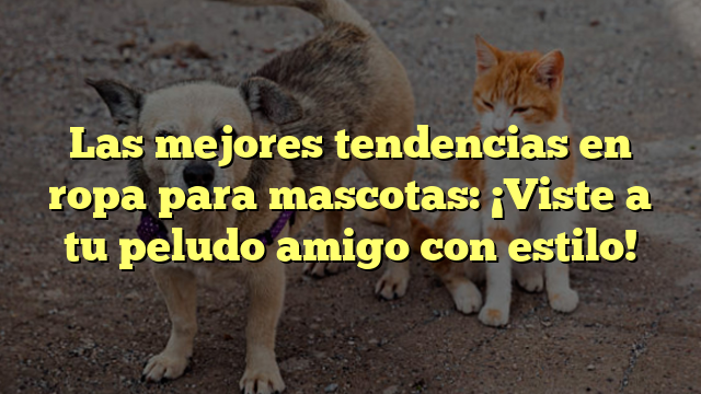 Las mejores tendencias en ropa para mascotas: ¡Viste a tu peludo amigo con estilo!