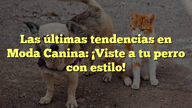 Las últimas tendencias en Moda Canina: ¡Viste a tu perro con estilo!