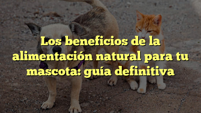 Los beneficios de la alimentación natural para tu mascota: guía definitiva