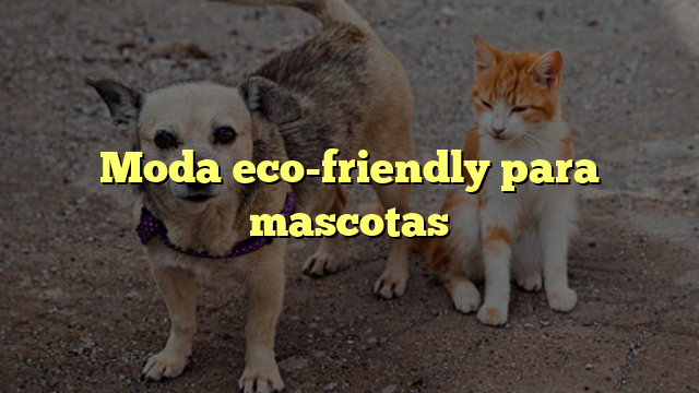 Moda eco-friendly para mascotas