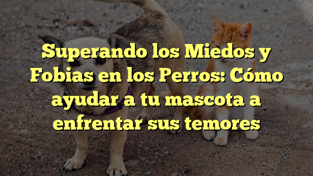 Superando los Miedos y Fobias en los Perros: Cómo ayudar a tu mascota a enfrentar sus temores