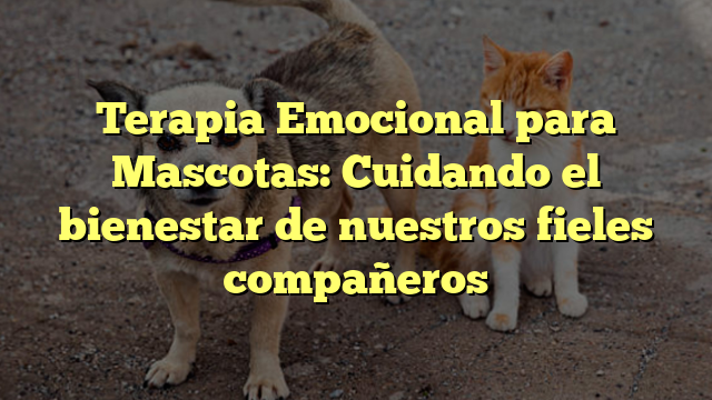 Terapia Emocional para Mascotas: Cuidando el bienestar de nuestros fieles compañeros