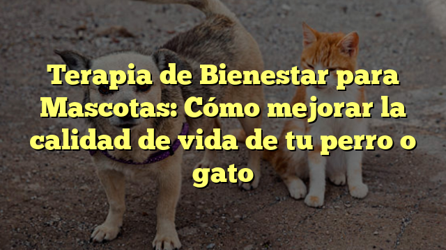 Terapia de Bienestar para Mascotas: Cómo mejorar la calidad de vida de tu perro o gato