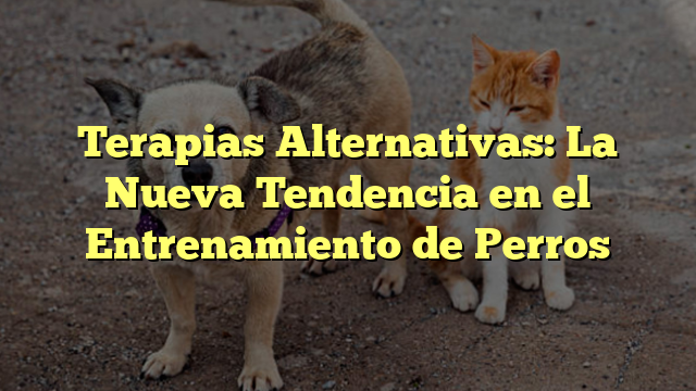 Terapias Alternativas: La Nueva Tendencia en el Entrenamiento de Perros