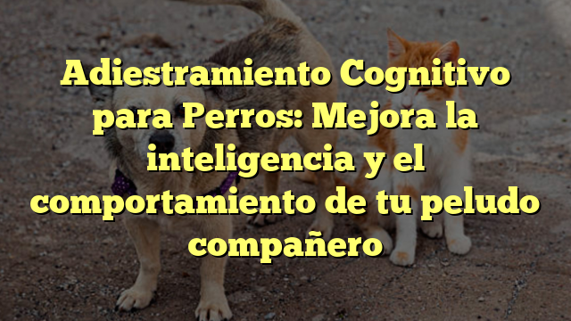 Adiestramiento Cognitivo para Perros: Mejora la inteligencia y el comportamiento de tu peludo compañero