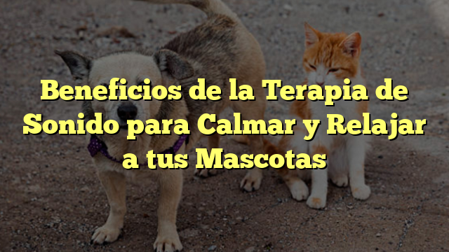 Beneficios de la Terapia de Sonido para Calmar y Relajar a tus Mascotas