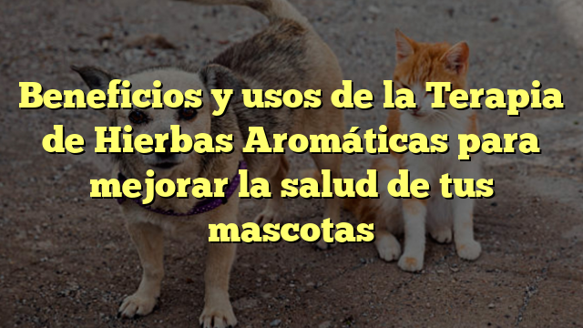Beneficios y usos de la Terapia de Hierbas Aromáticas para mejorar la salud de tus mascotas