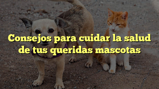 Consejos para cuidar la salud de tus queridas mascotas