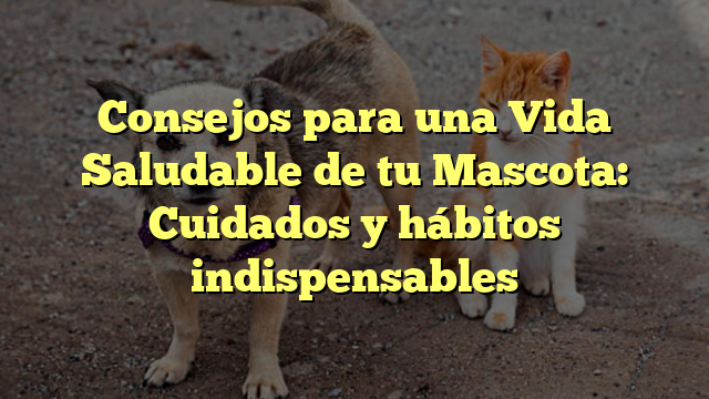 Consejos para una Vida Saludable de tu Mascota: Cuidados y hábitos indispensables