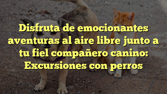 Disfruta de emocionantes aventuras al aire libre junto a tu fiel compañero canino: Excursiones con perros