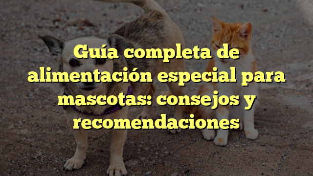 Guía completa de alimentación especial para mascotas: consejos y recomendaciones
