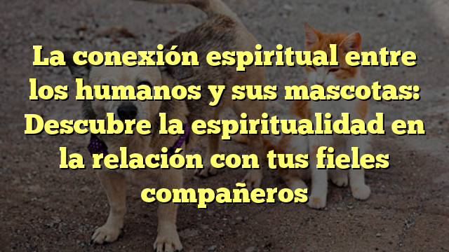 La conexión espiritual entre los humanos y sus mascotas: Descubre la espiritualidad en la relación con tus fieles compañeros