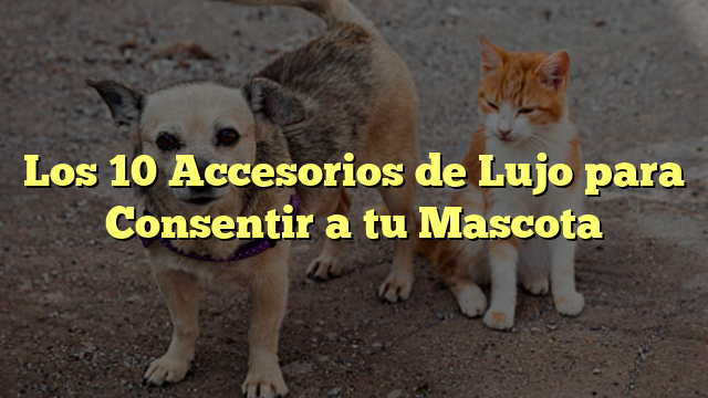 Los 10 Accesorios de Lujo para Consentir a tu Mascota