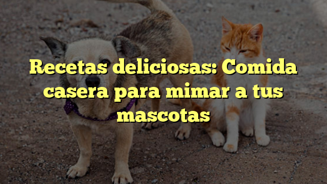 Recetas deliciosas: Comida casera para mimar a tus mascotas