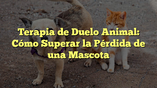 Terapia de Duelo Animal: Cómo Superar la Pérdida de una Mascota