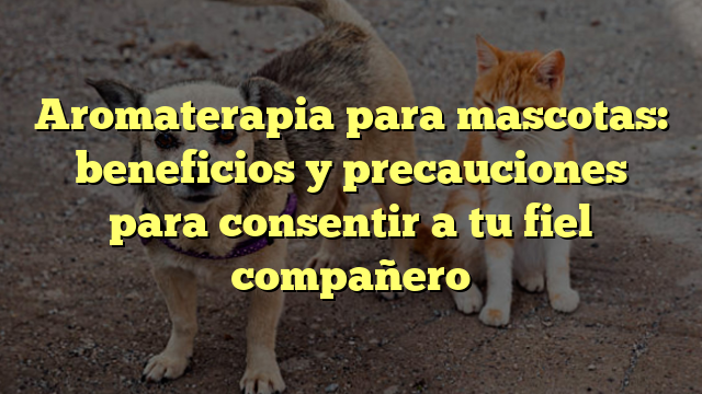 Aromaterapia para mascotas: beneficios y precauciones para consentir a tu fiel compañero