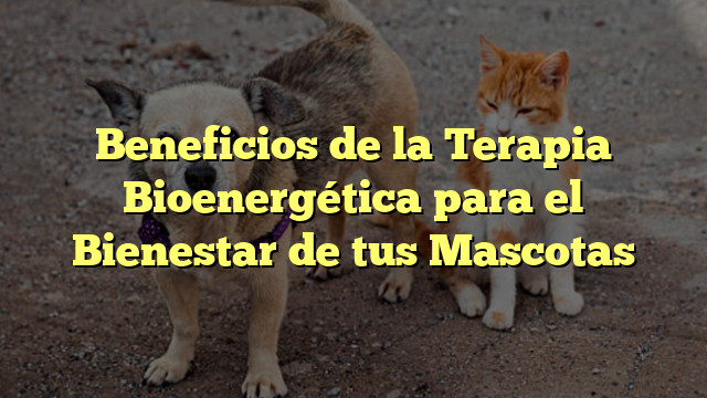 Beneficios de la Terapia Bioenergética para el Bienestar de tus Mascotas